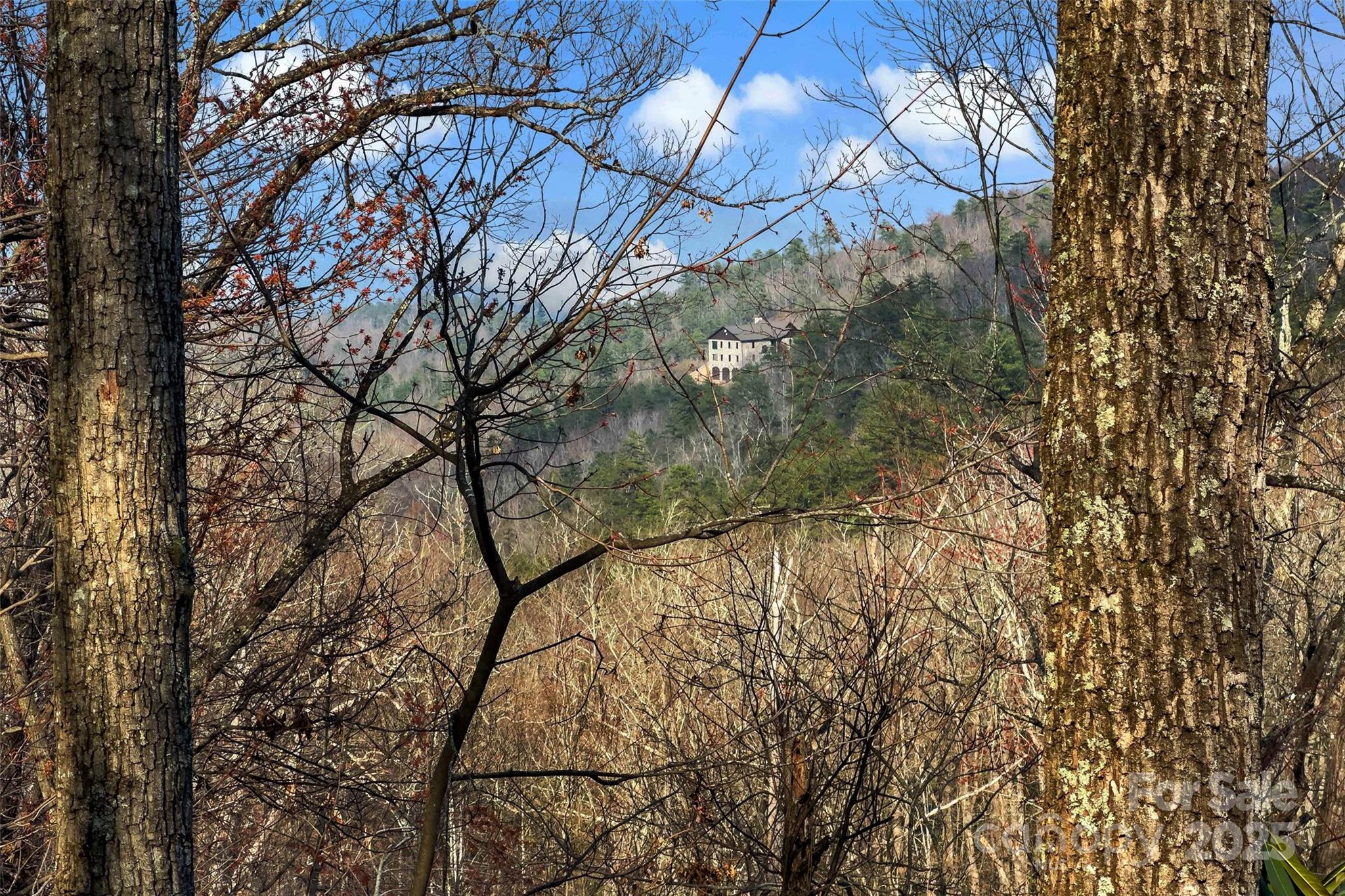 Lot 224 Cumberland Falls Trail 224 Property Photo