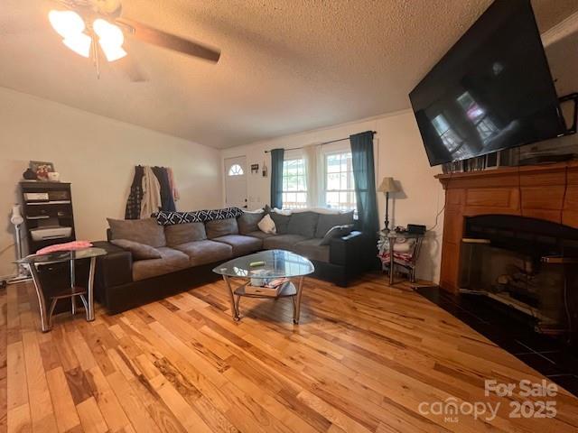 326 Toney Road Property Photo 6