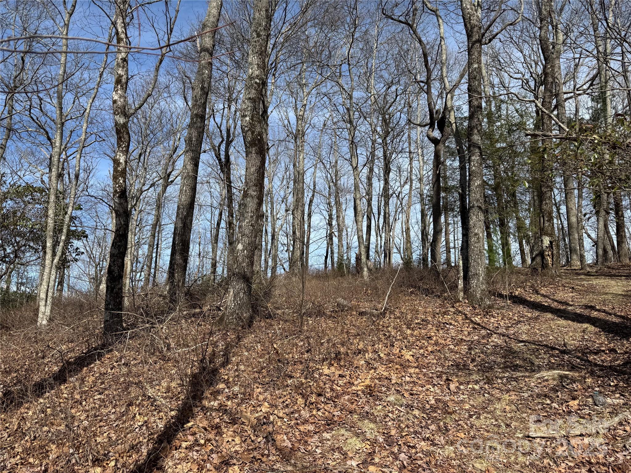 L4 Windy Gap Lane Property Photo 3