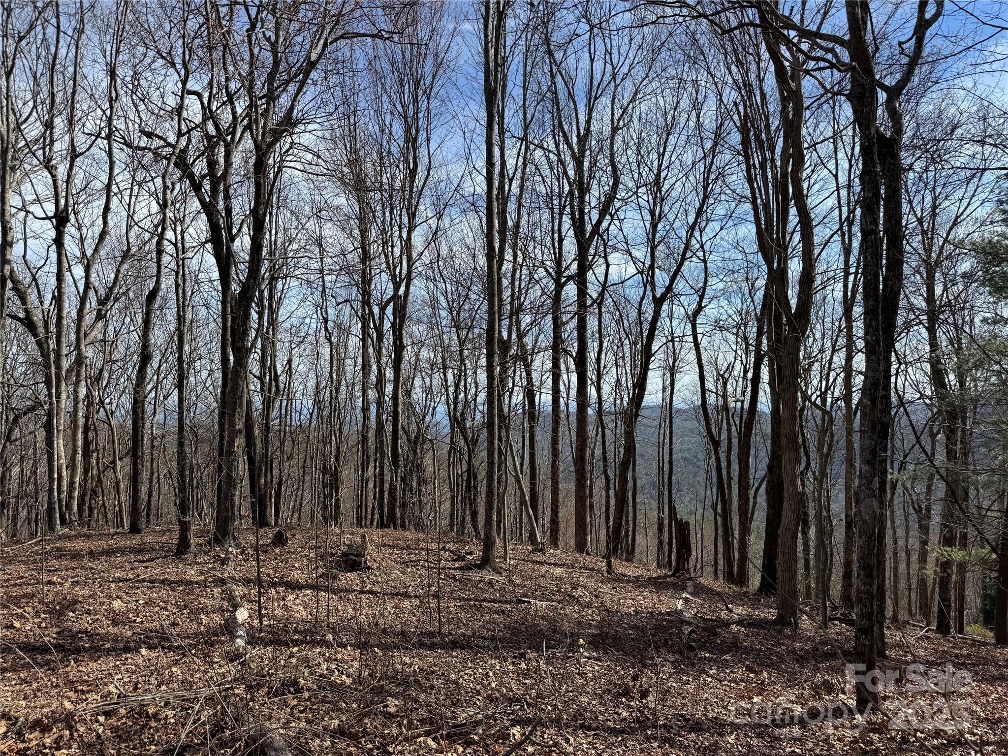 L4 Windy Gap Lane Property Photo 9