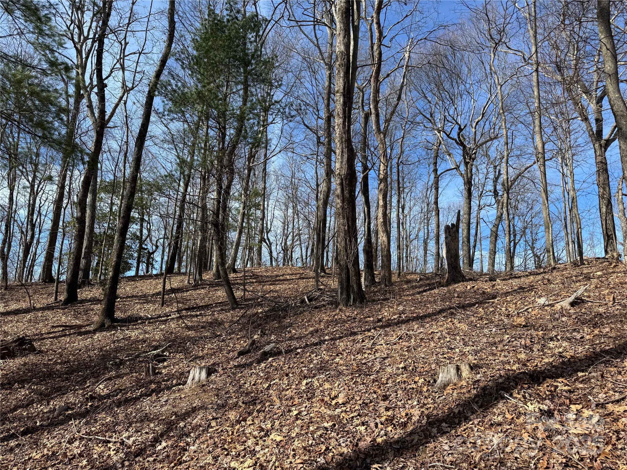 L4 Windy Gap Lane Property Photo 12