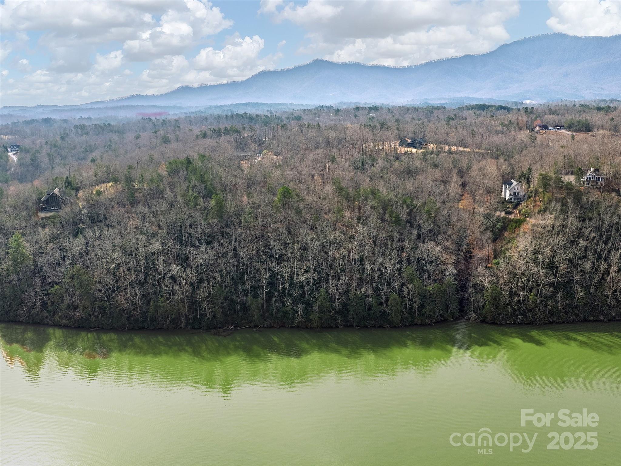 Lot 63 Lake Adger Parkway 63 Property Photo