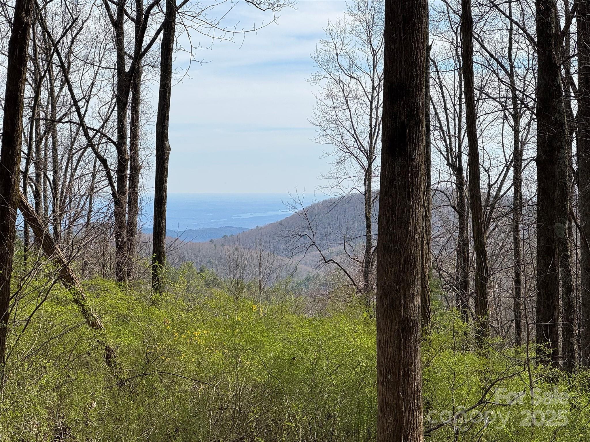 L8 Black Bear Court Property Photo