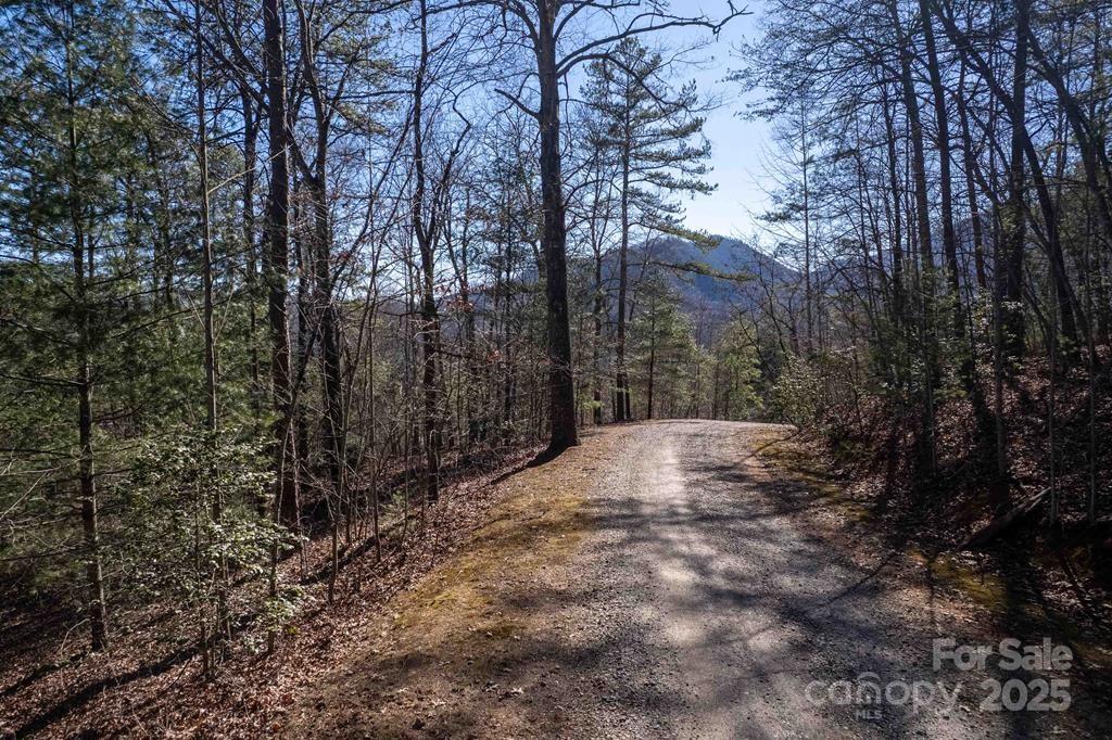 00 Jarrett Hills Road Property Photo 1