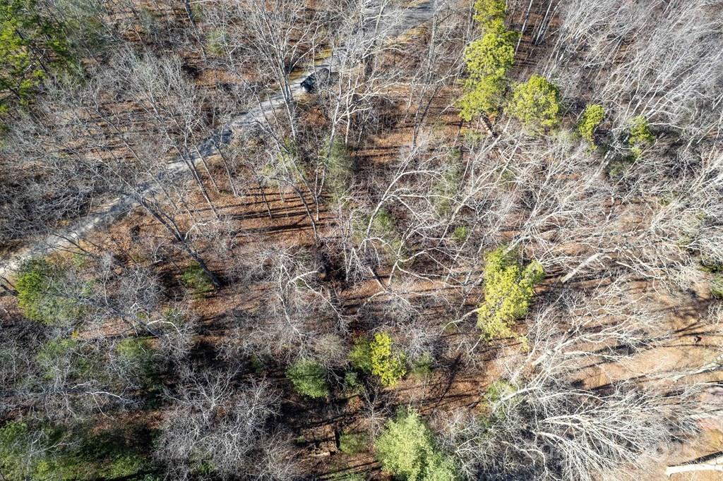 00 Jarrett Hills Road Property Photo 3