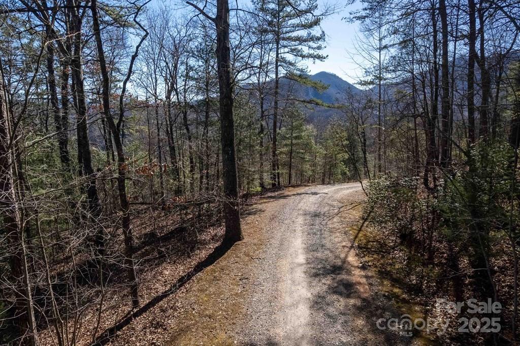 00 Jarrett Hills Road Property Photo 7