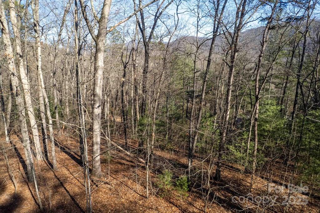 00 Jarrett Hills Road Property Photo 11