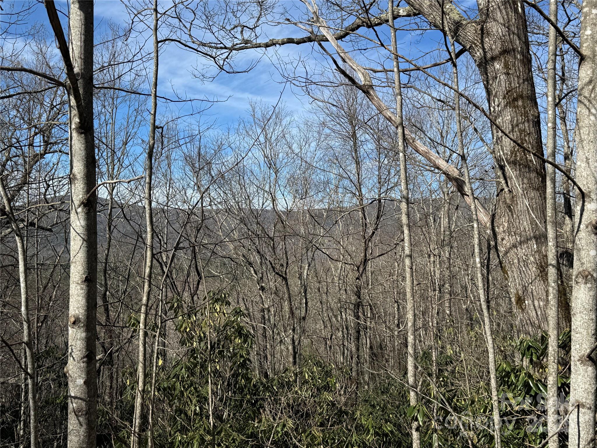 L13 Black Bear Court Property Photo
