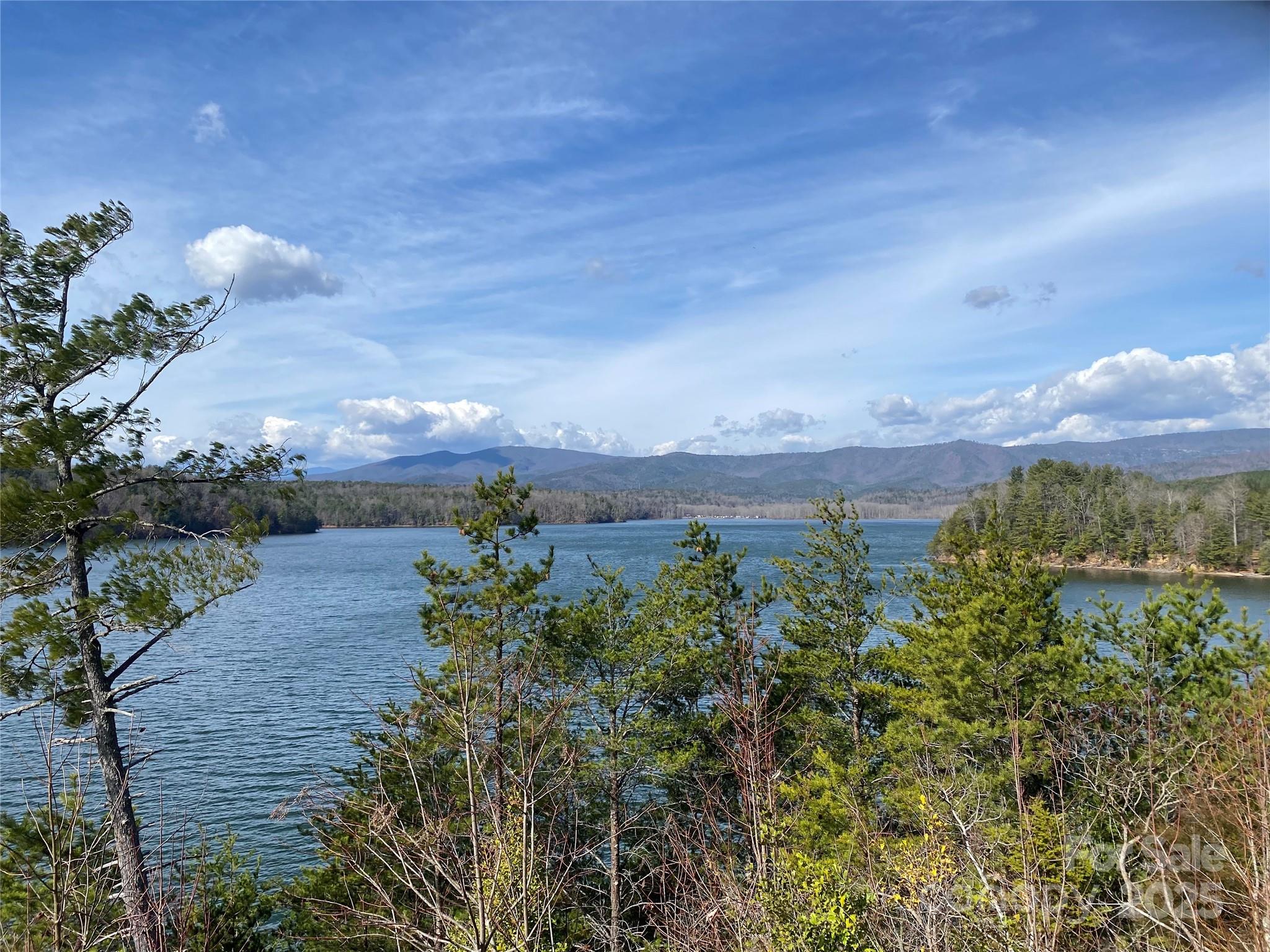 1600 Pisgah Preserve Drive Property Photo 4