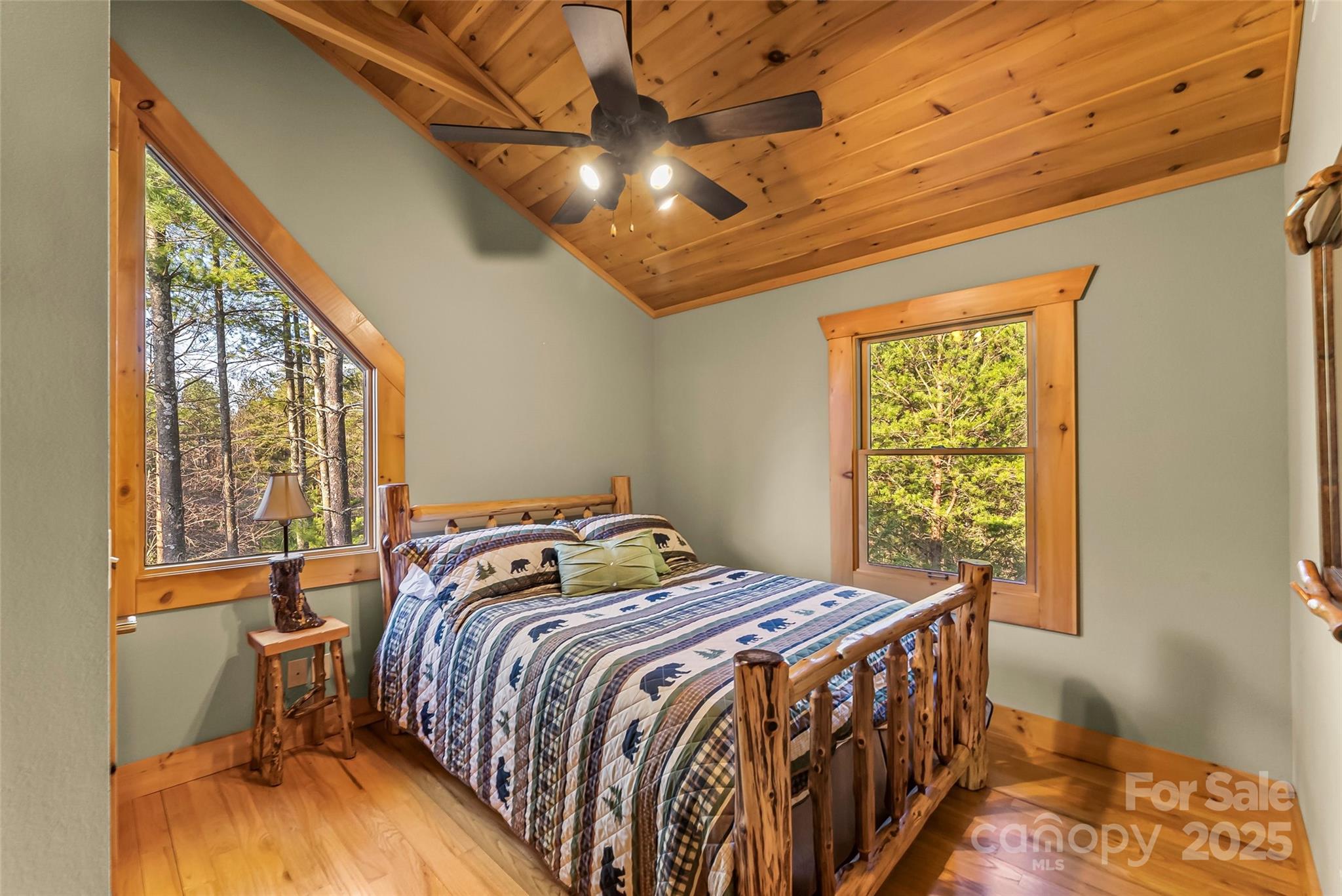 1600 Pisgah Preserve Drive Property Photo 22
