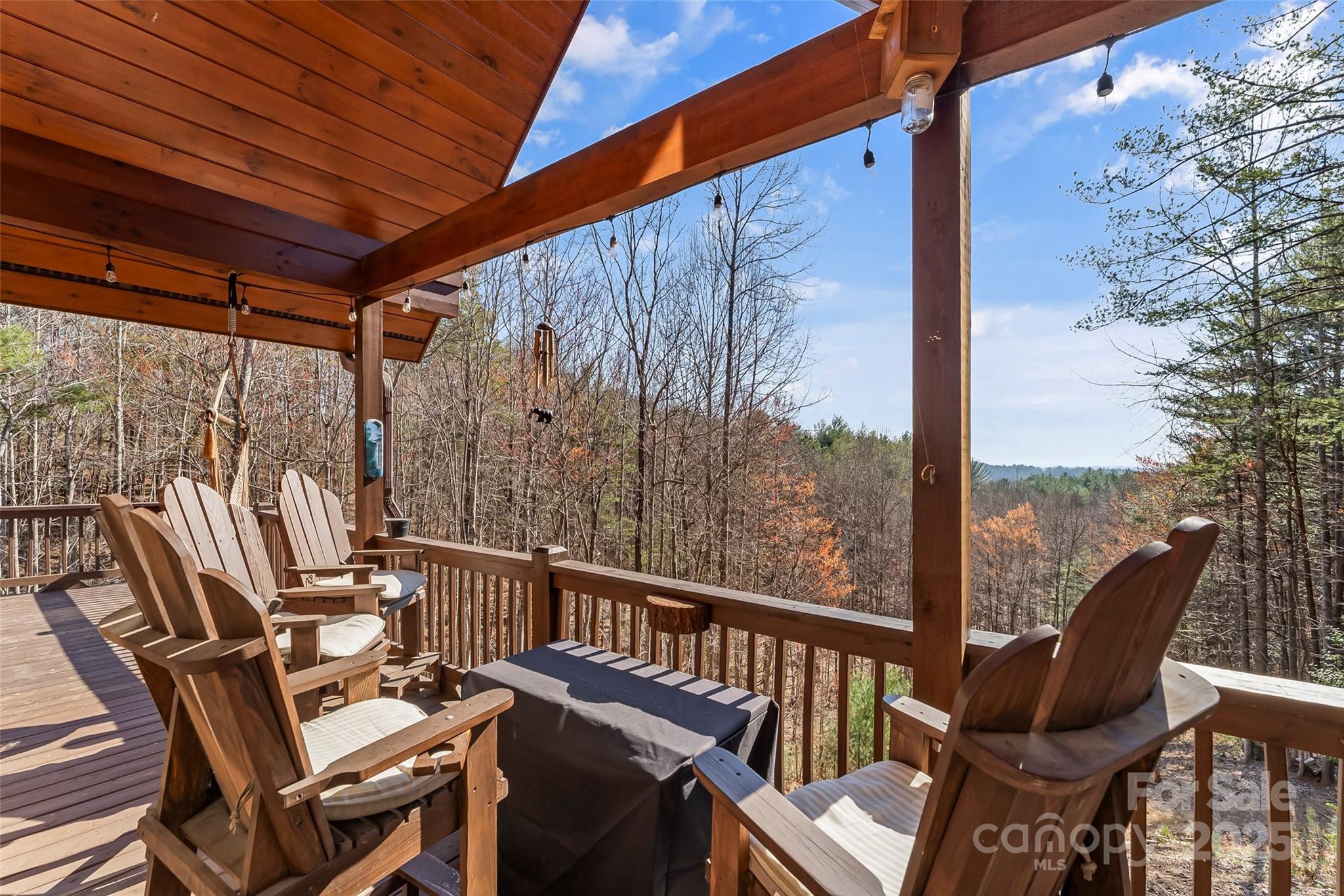 1600 Pisgah Preserve Drive Property Photo 39