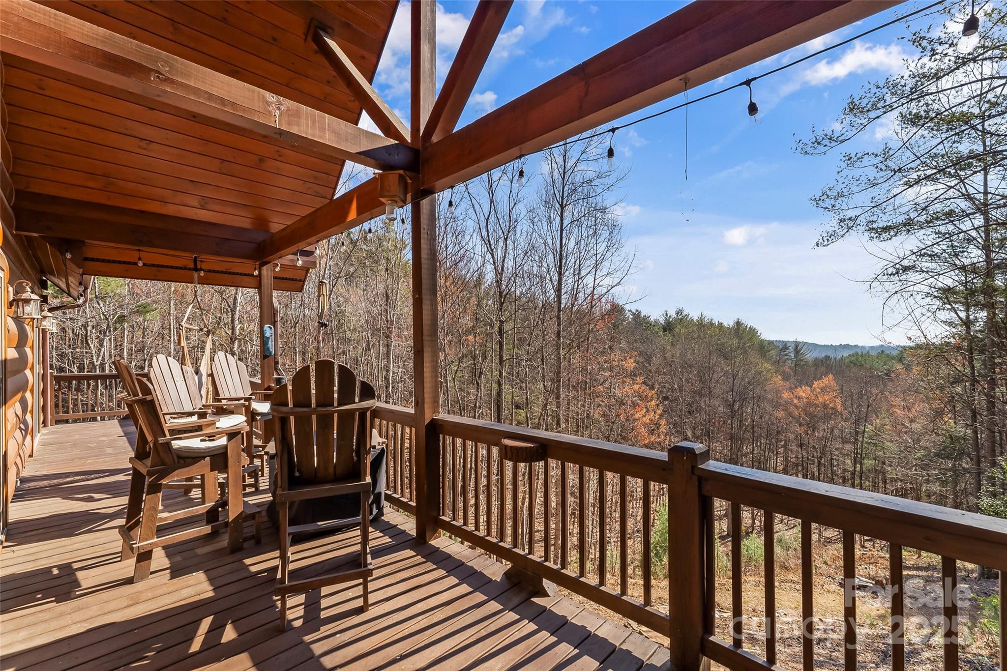 1600 Pisgah Preserve Drive Property Photo 40