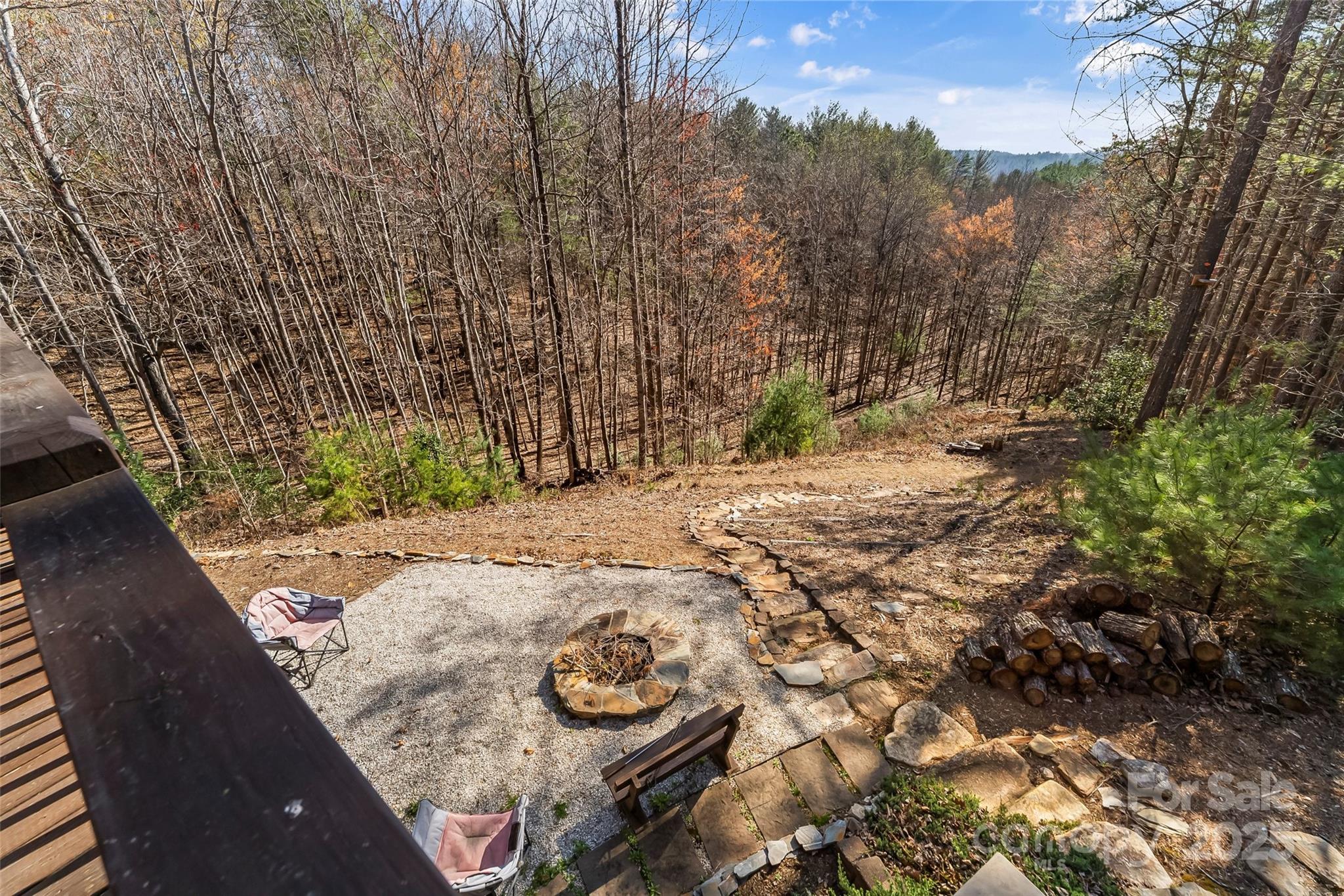 1600 Pisgah Preserve Drive Property Photo 41
