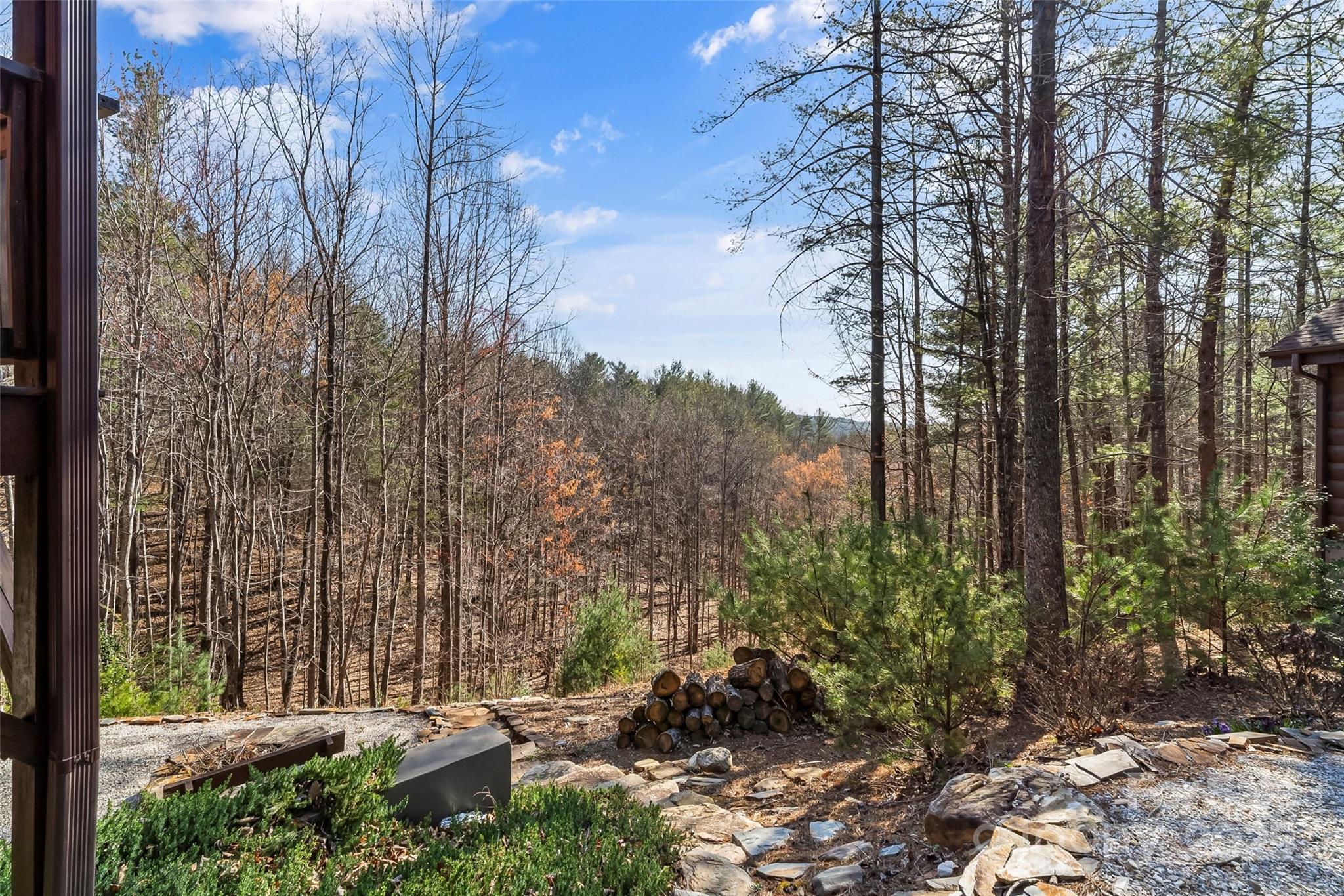 1600 Pisgah Preserve Drive Property Photo 43