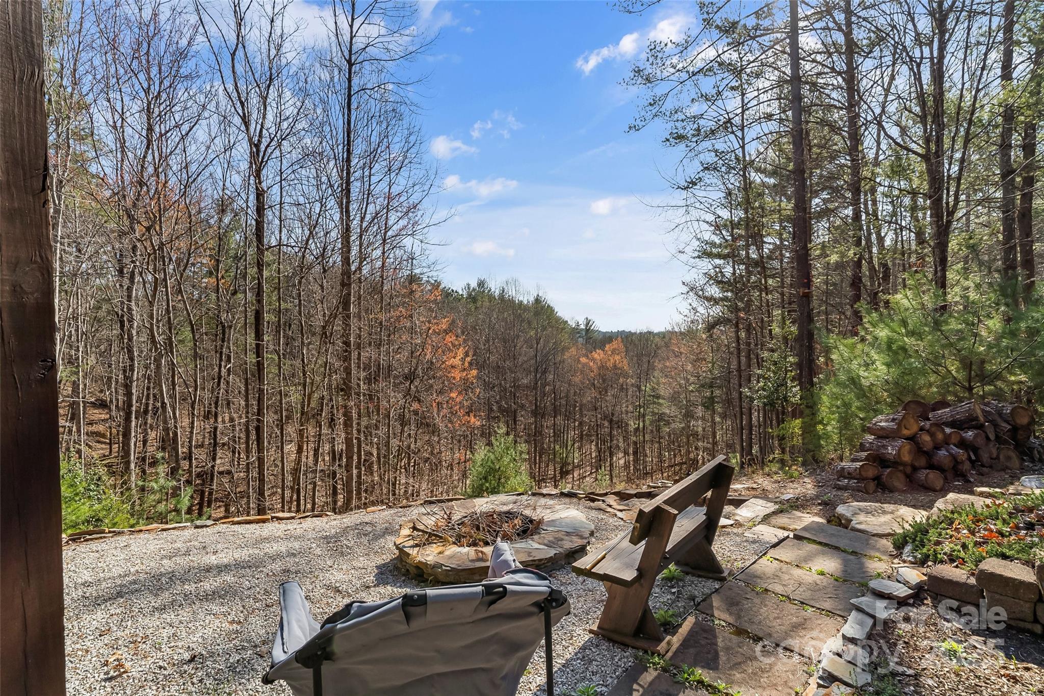 1600 Pisgah Preserve Drive Property Photo 46