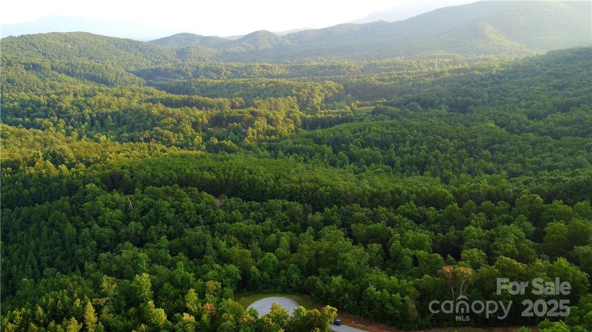 Lot 59 Bear Cliff Way Property Photo 4