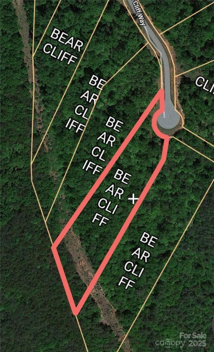 Lot 59 Bear Cliff Way Property Photo 6
