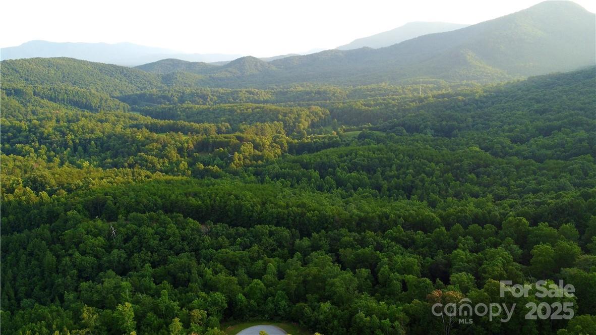 Lot 59 Bear Cliff Way Property Photo 7