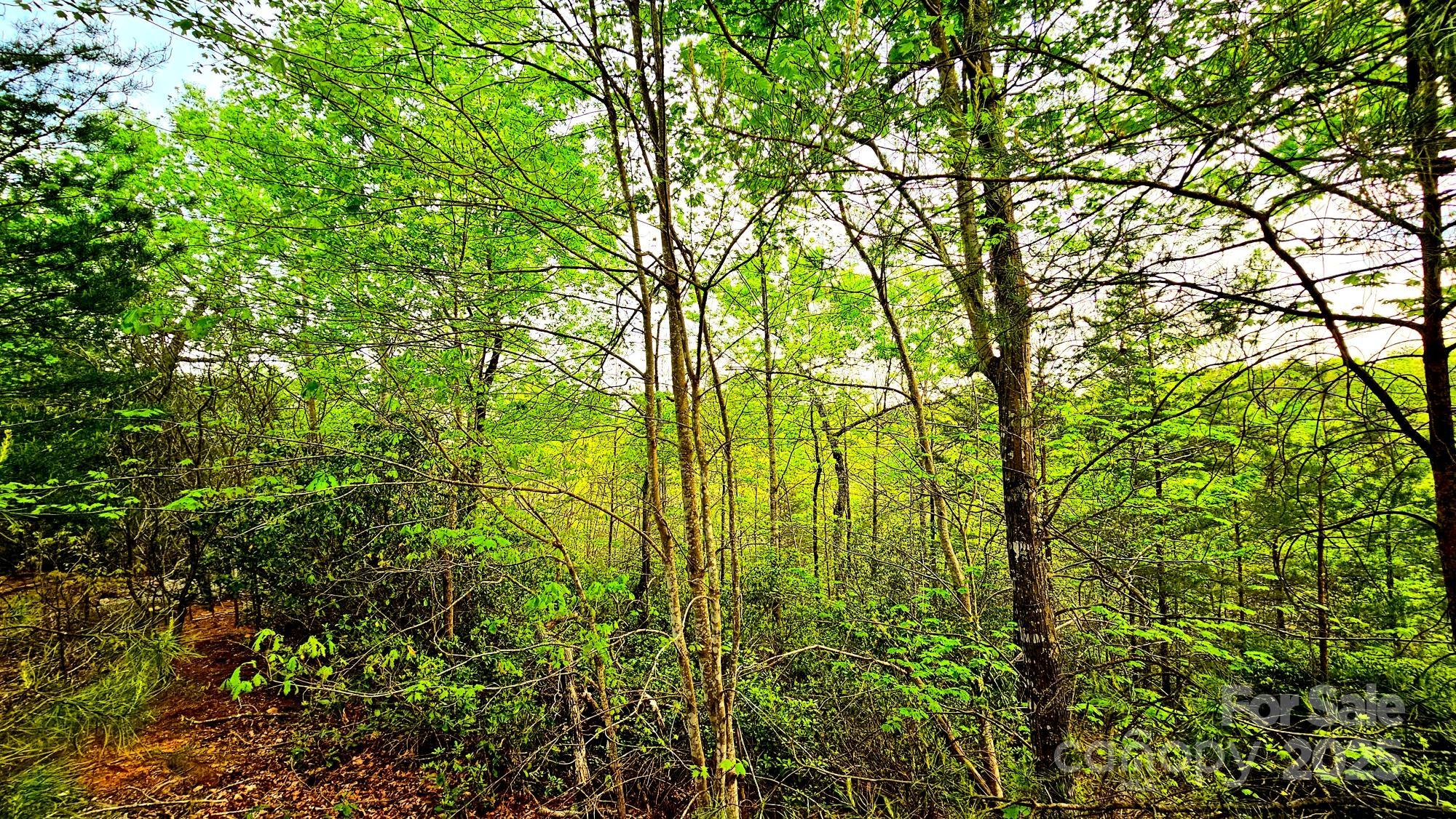 Lot 59 Bear Cliff Way Property Photo 9