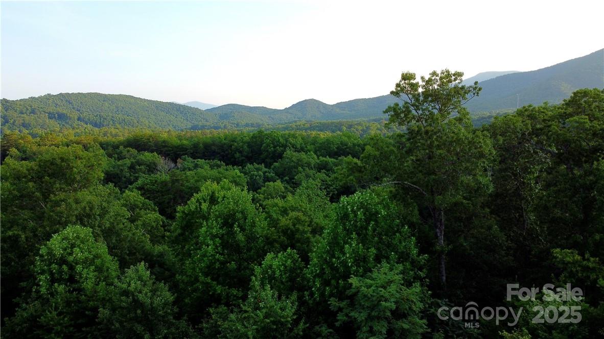 Lot 59 Bear Cliff Way Property Photo 10