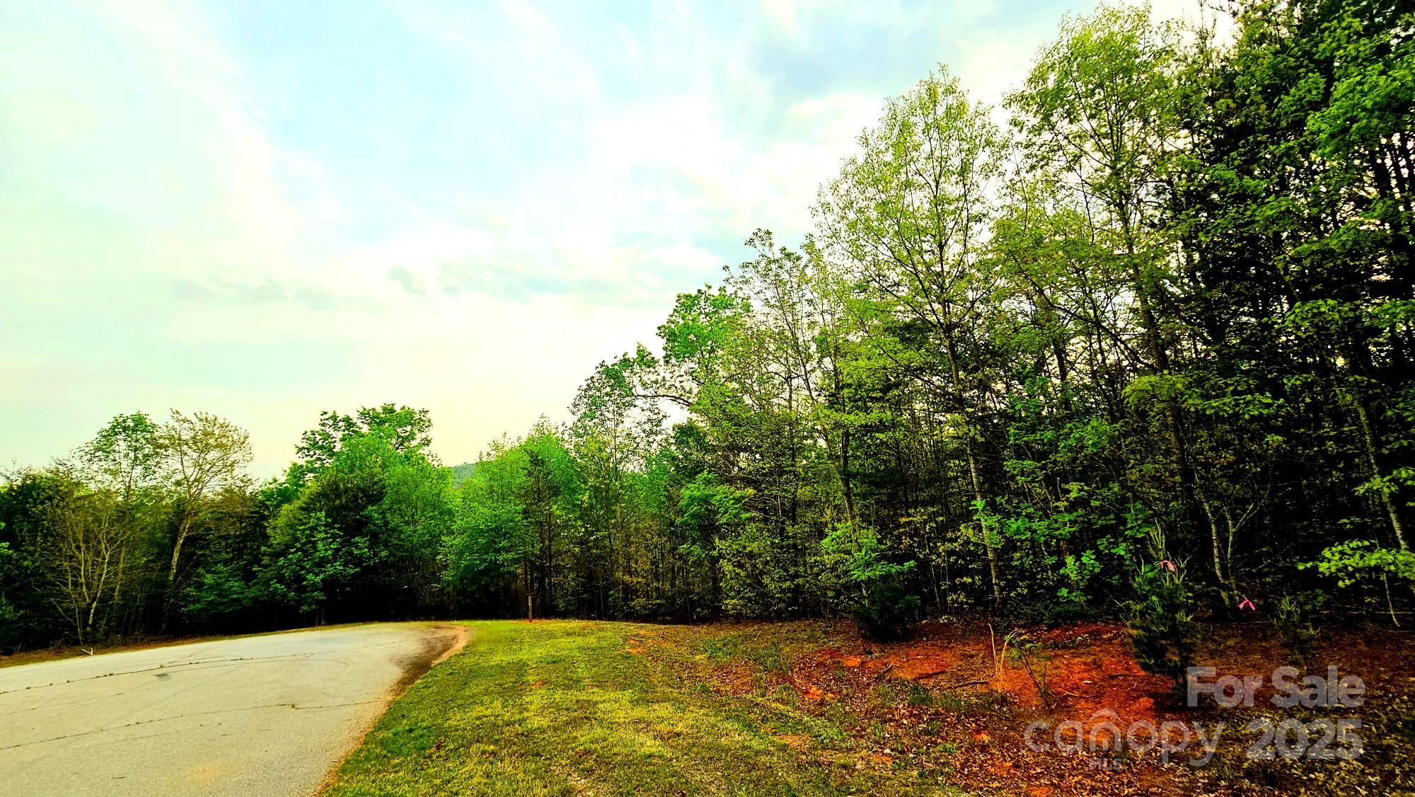 Lot 59 Bear Cliff Way Property Photo 12