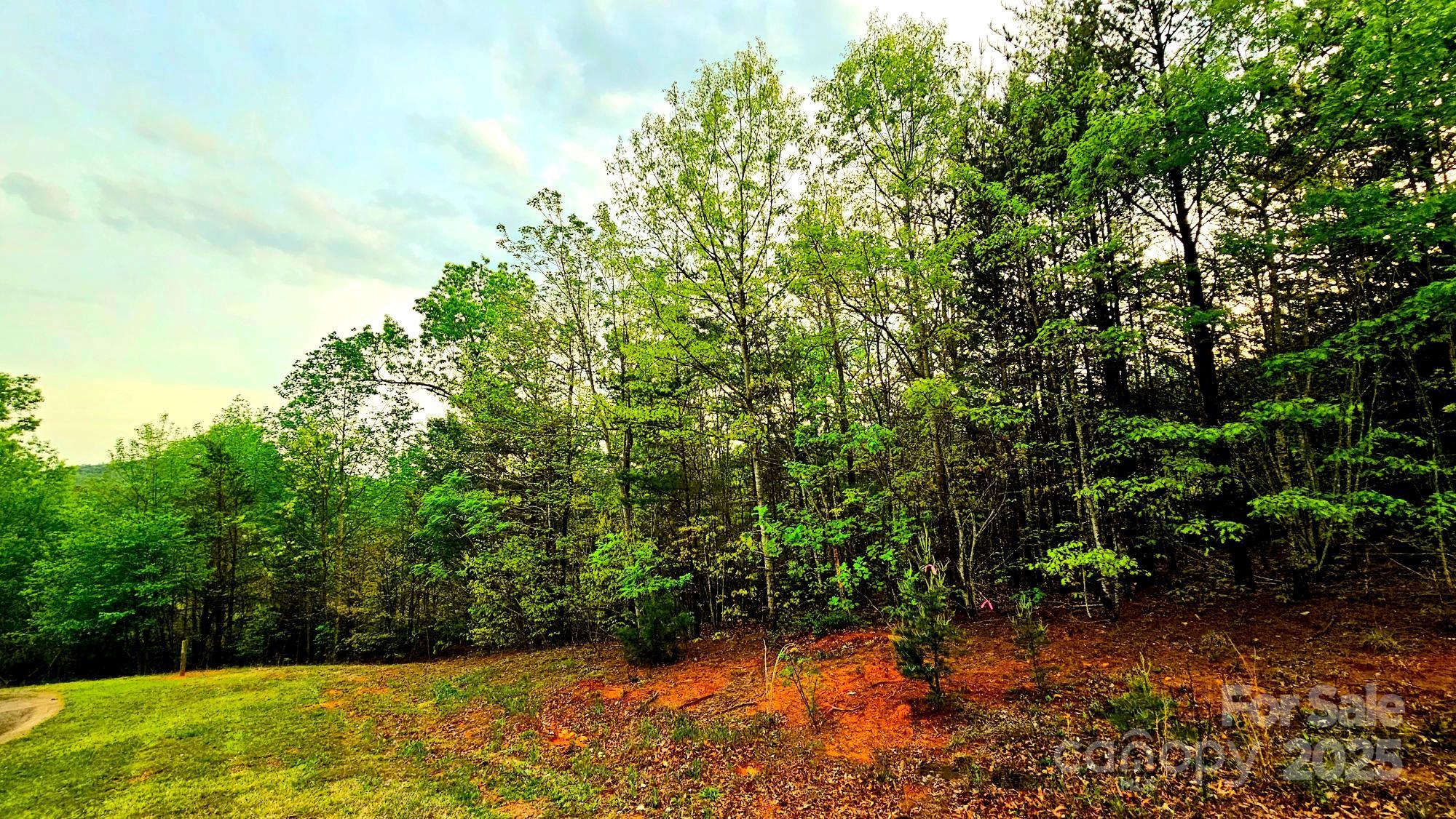 Lot 59 Bear Cliff Way Property Photo 13