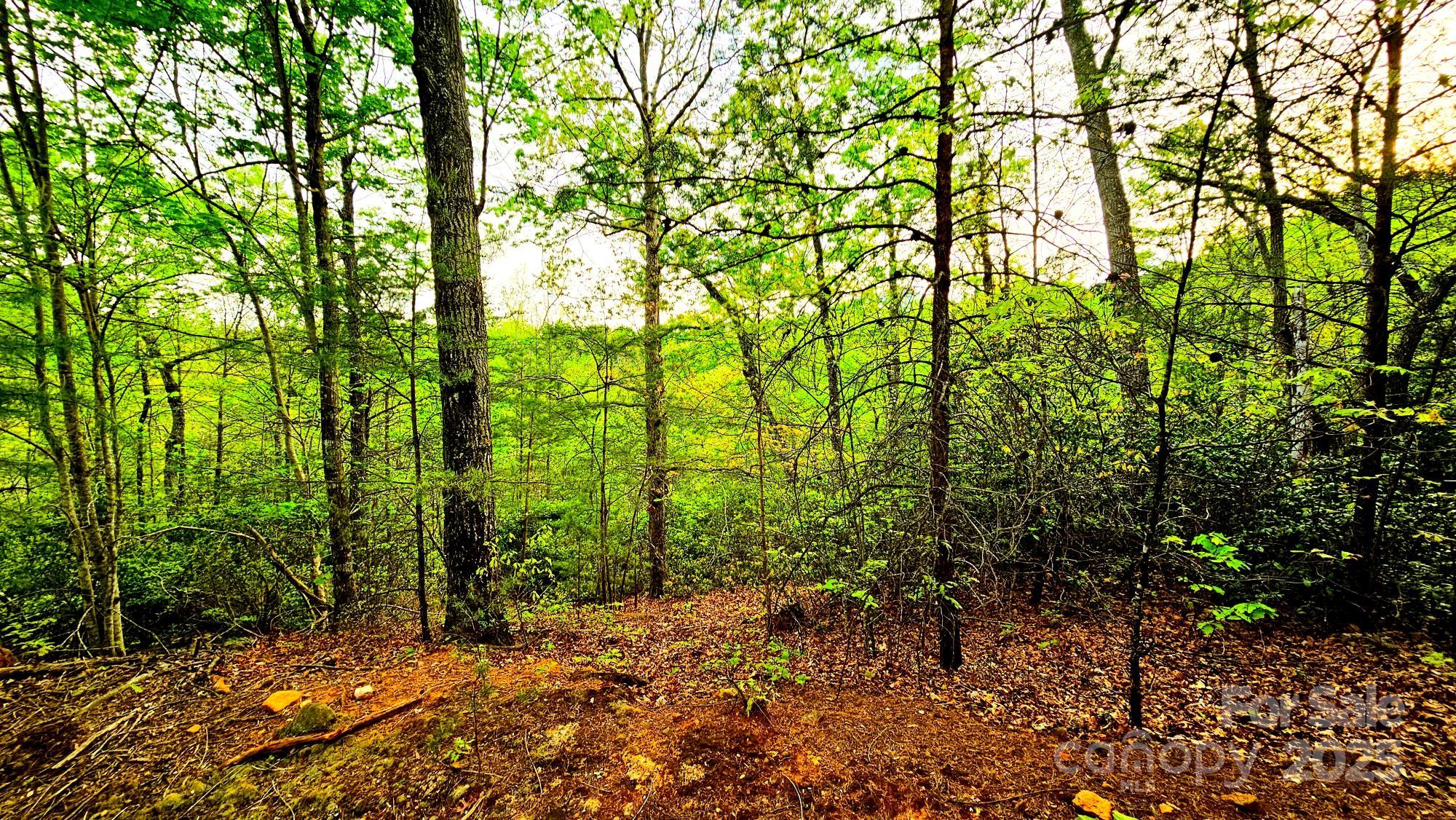 Lot 59 Bear Cliff Way Property Photo 14