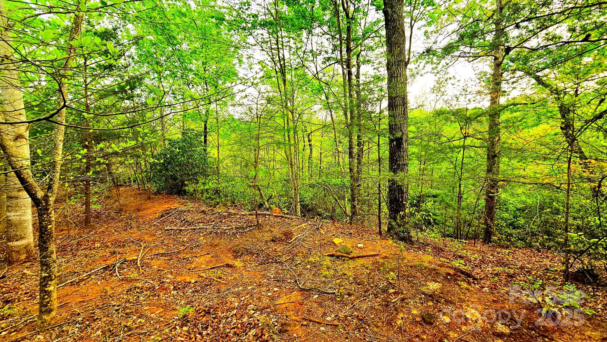 Lot 59 Bear Cliff Way Property Photo 15