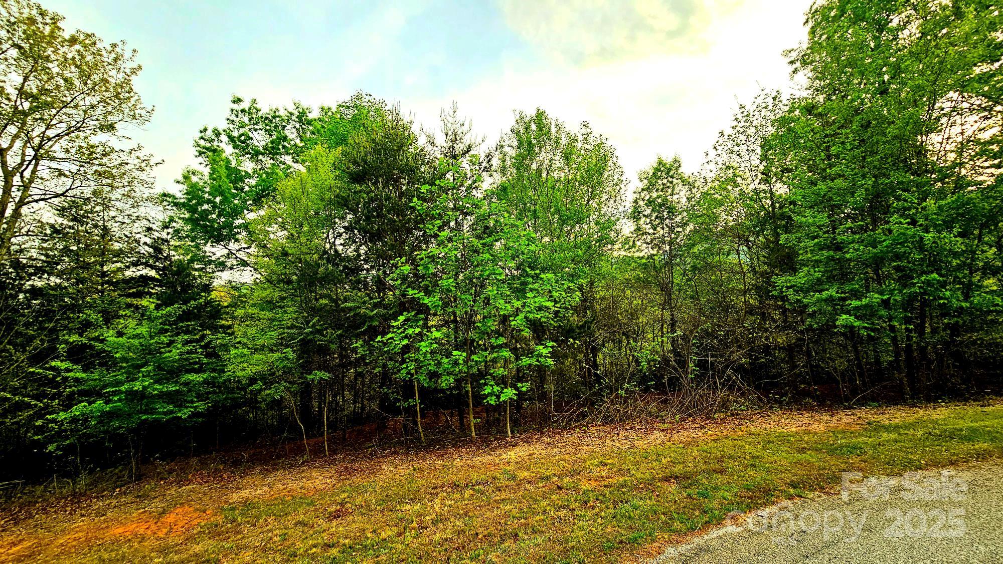 Lot 59 Bear Cliff Way Property Photo 16