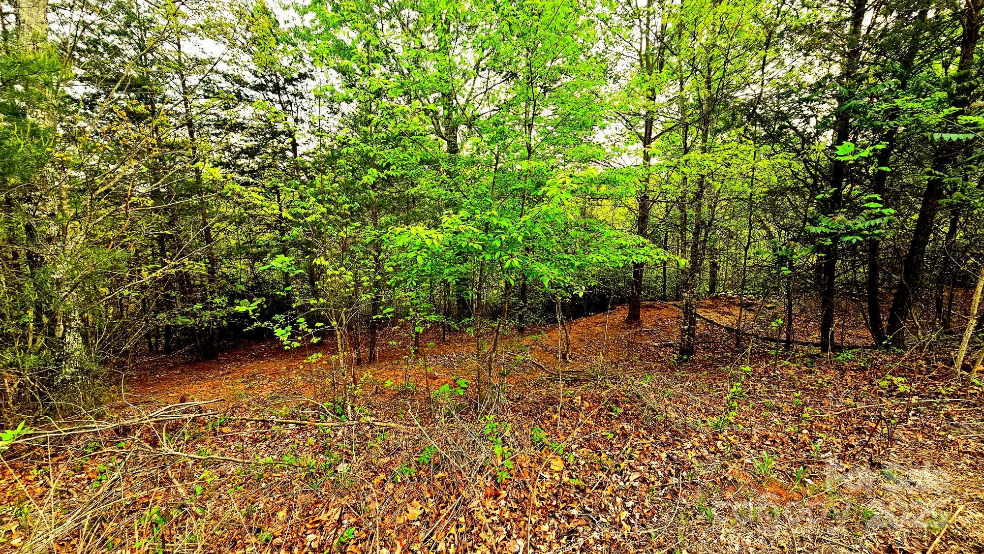 Lot 59 Bear Cliff Way Property Photo 17