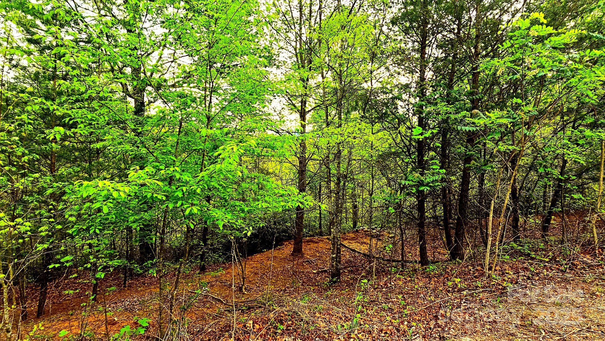 Lot 59 Bear Cliff Way Property Photo 18