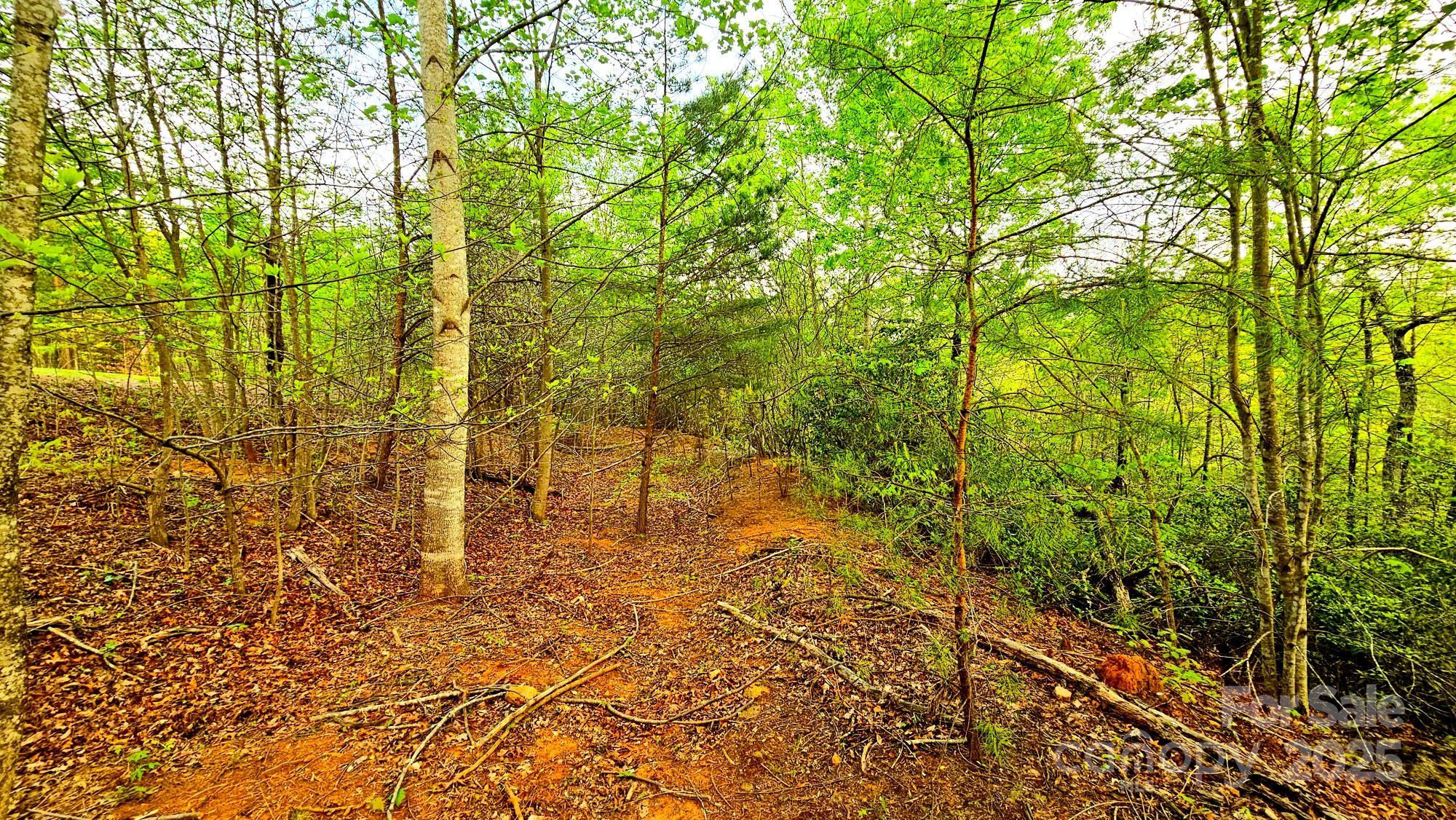 Lot 59 Bear Cliff Way Property Photo 19