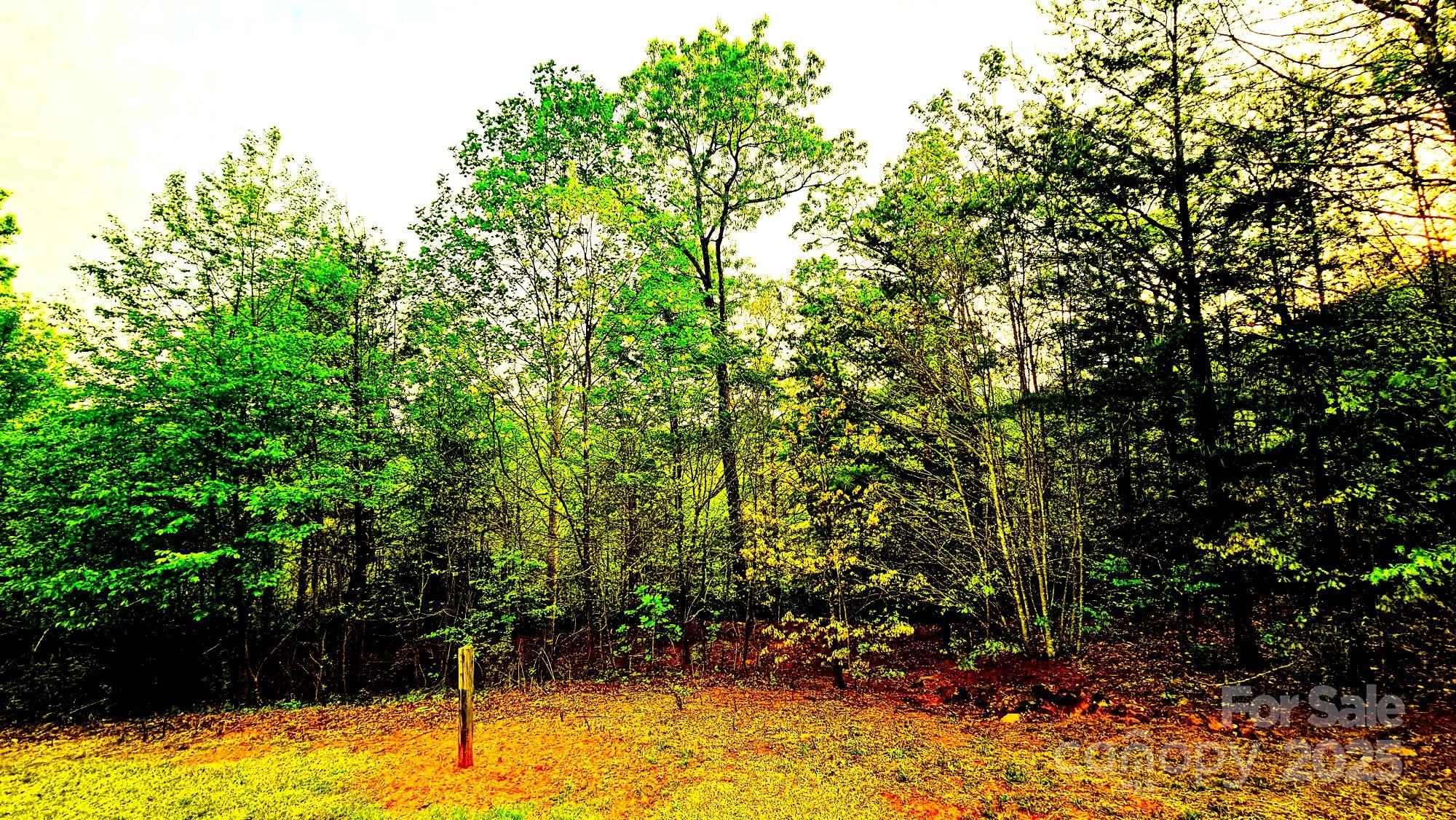 Lot 59 Bear Cliff Way Property Photo 20