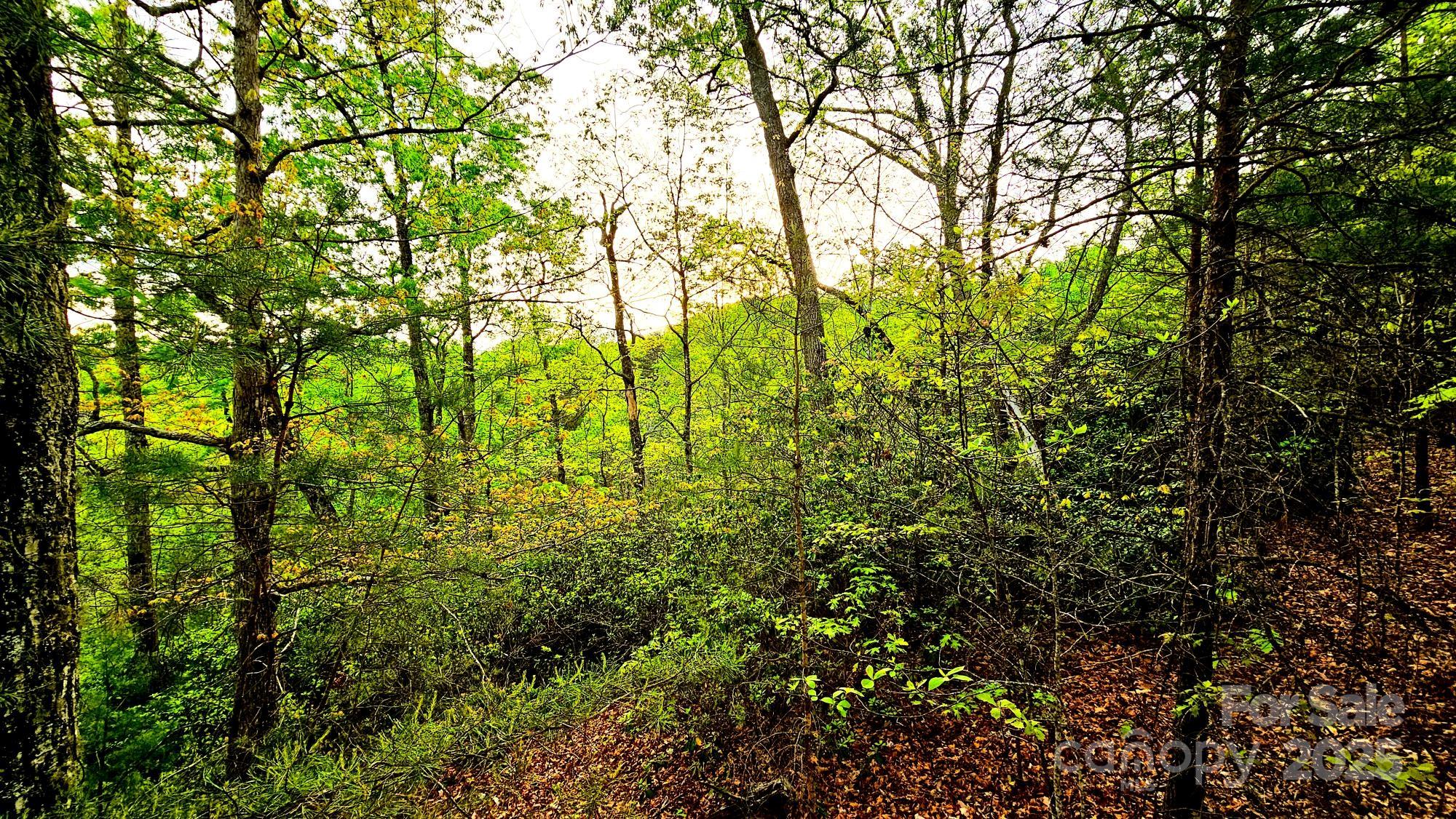 Lot 59 Bear Cliff Way Property Photo 21