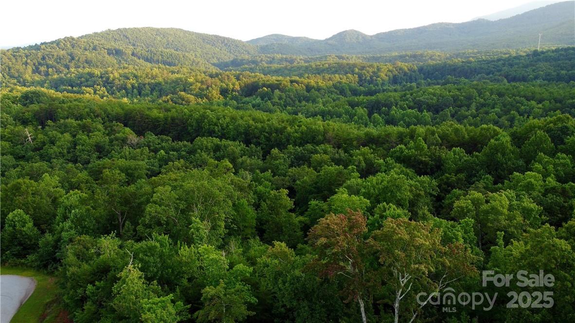 Lot 59 Bear Cliff Way Property Photo 24