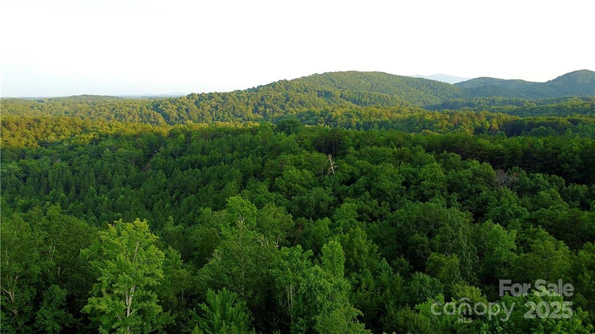 Lot 59 Bear Cliff Way Property Photo 25