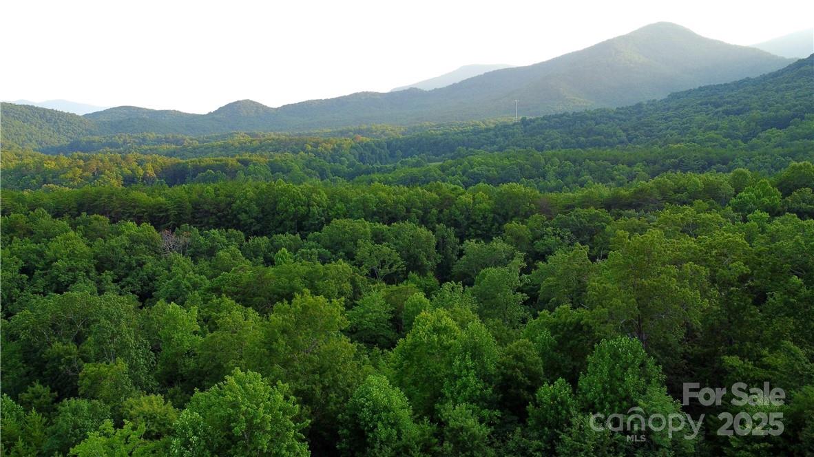 Lot 59 Bear Cliff Way Property Photo 27
