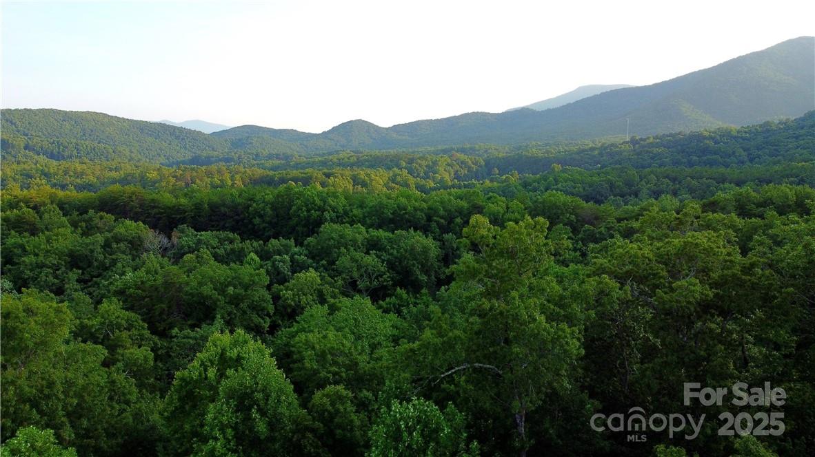 Lot 59 Bear Cliff Way Property Photo 28