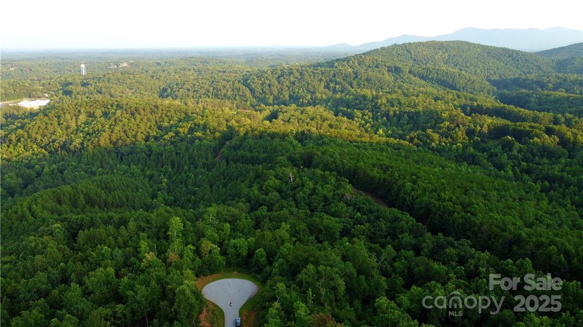 Lot 59 Bear Cliff Way Property Photo 29