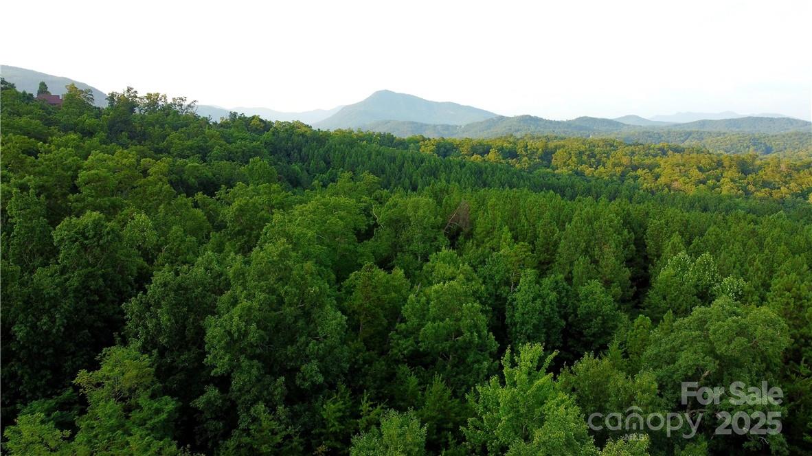 Lot 59 Bear Cliff Way Property Photo 31