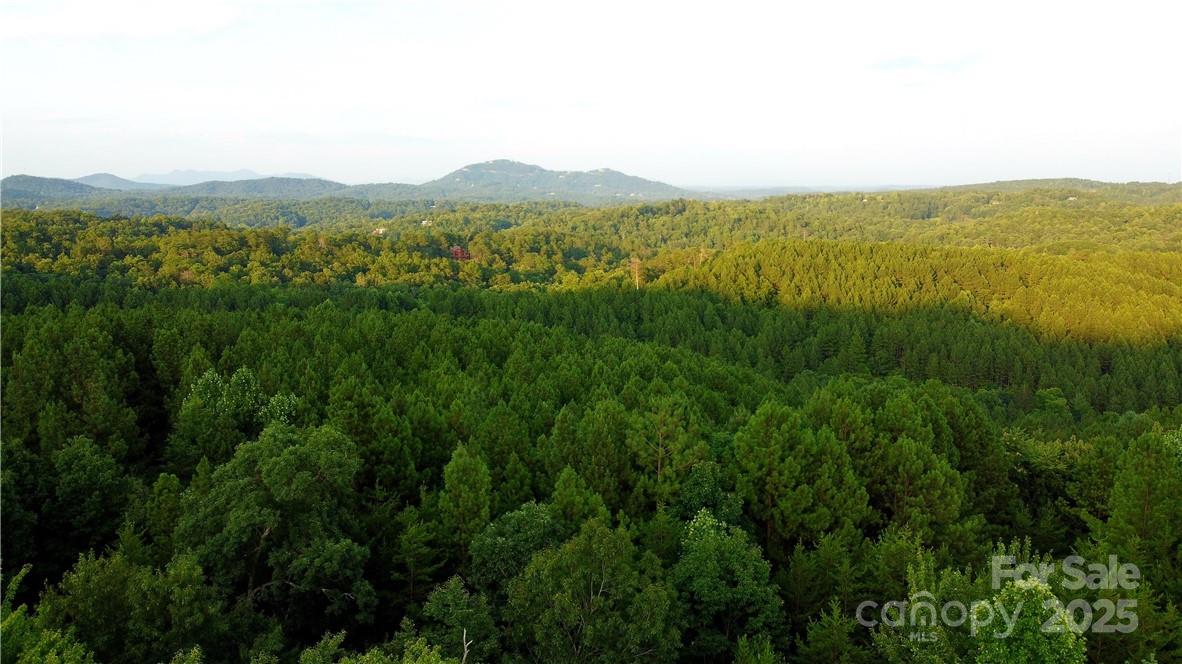 Lot 59 Bear Cliff Way Property Photo 32