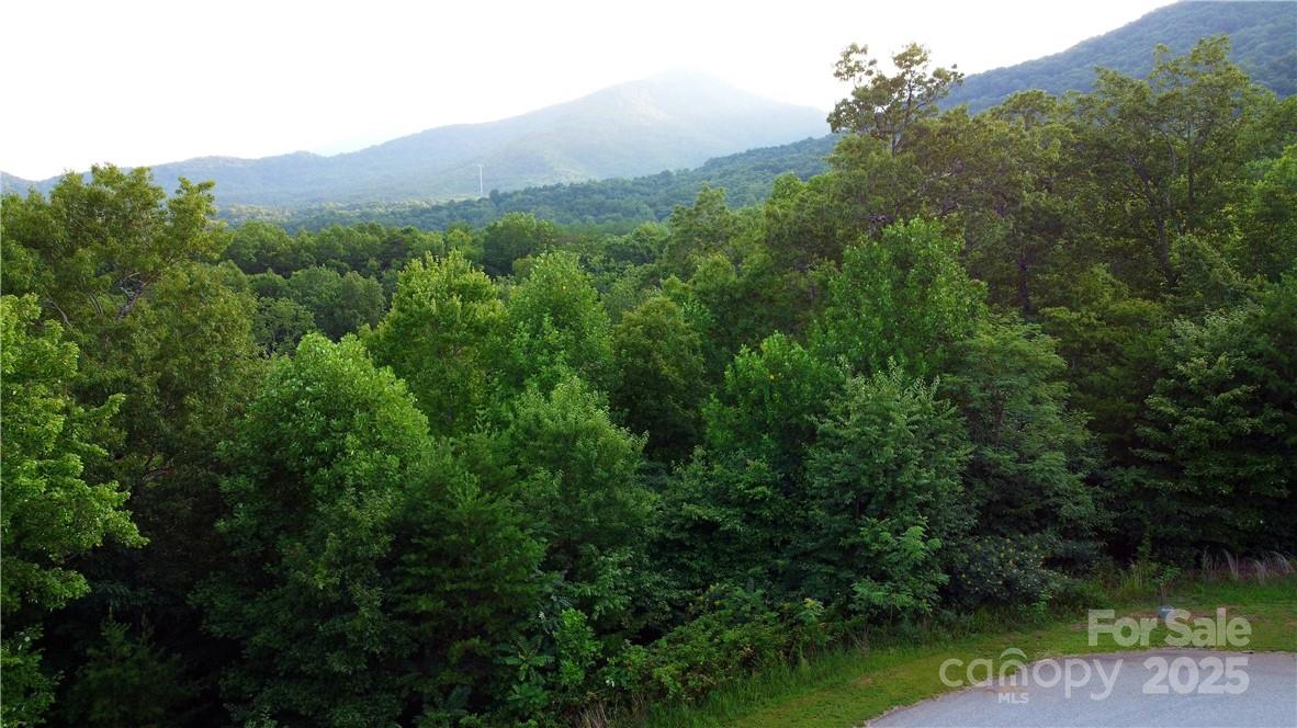 Lot 59 Bear Cliff Way Property Photo 33