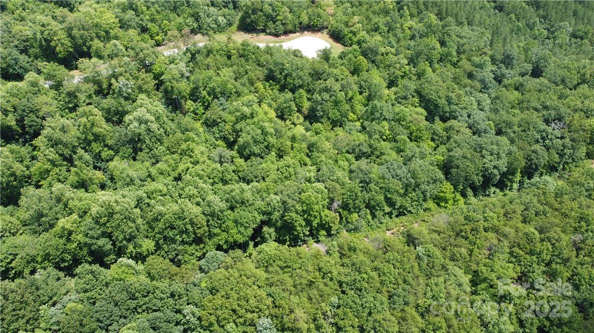 Lot 59 Bear Cliff Way Property Photo 34