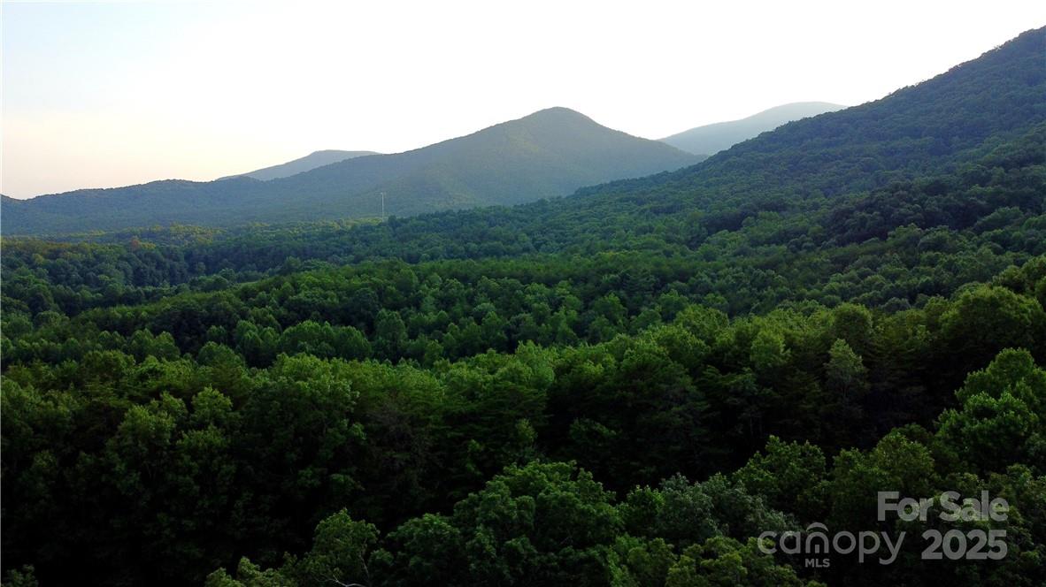 Lot 59 Bear Cliff Way Property Photo 36