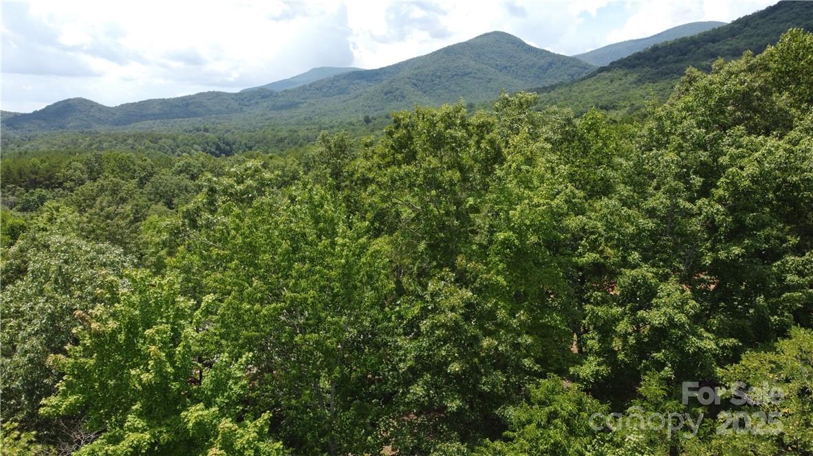 Lot 59 Bear Cliff Way Property Photo 37