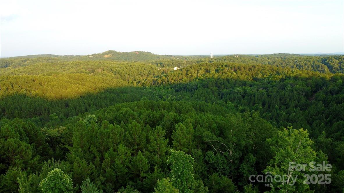 Lot 59 Bear Cliff Way Property Photo 38