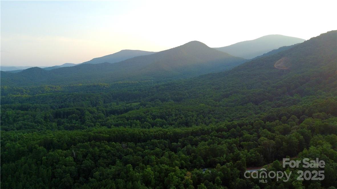 Lot 59 Bear Cliff Way Property Photo 39