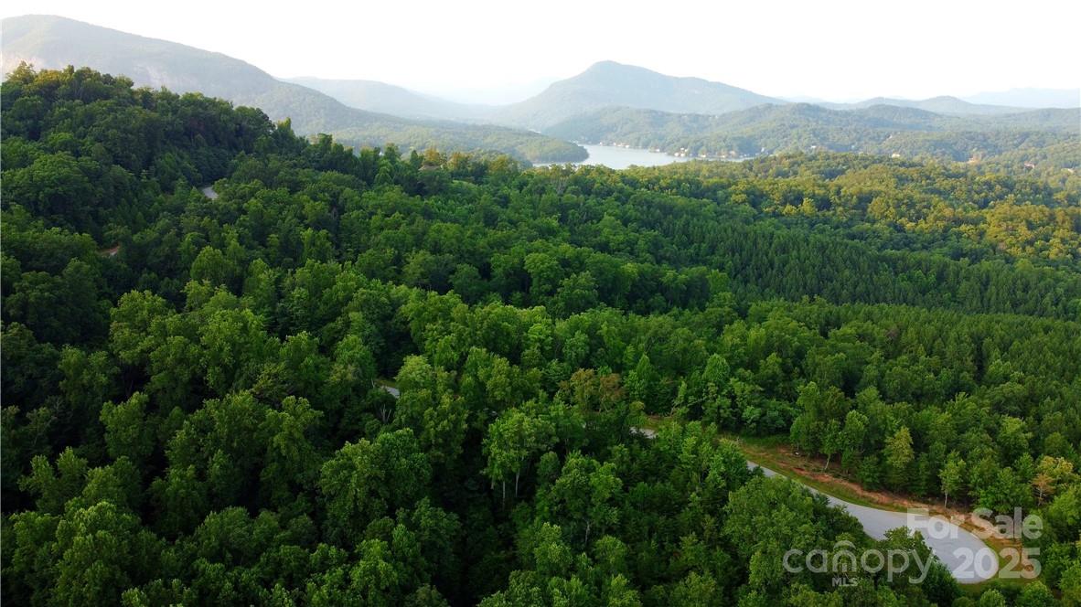 Lot 59 Bear Cliff Way Property Photo 40