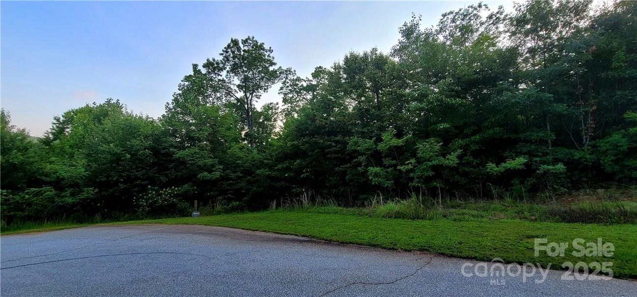 Lot 59 Bear Cliff Way Property Photo 41