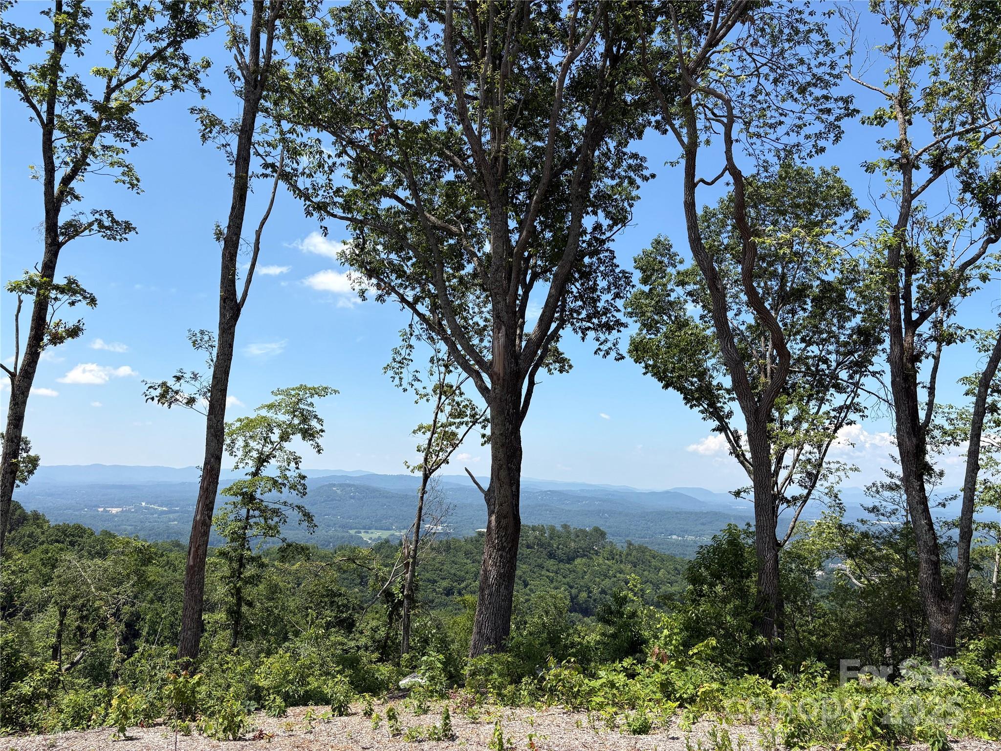 Lot 50 Mountain Grove Lane 50 Property Photo 1